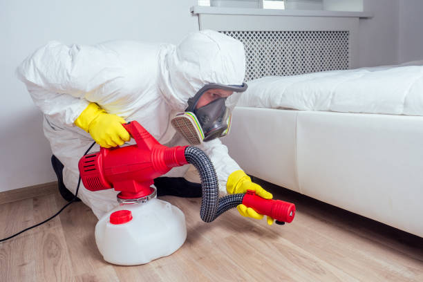 Flea Control Services in Centennial, CO