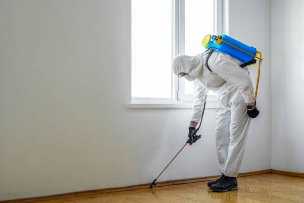 Best Termite Control Services  in Centennial, CO