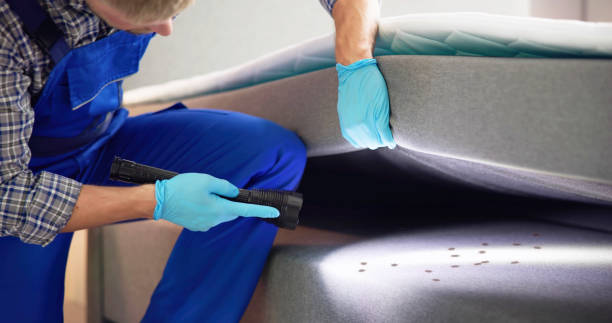 Best Pest Control for Homes  in Centennial, CO