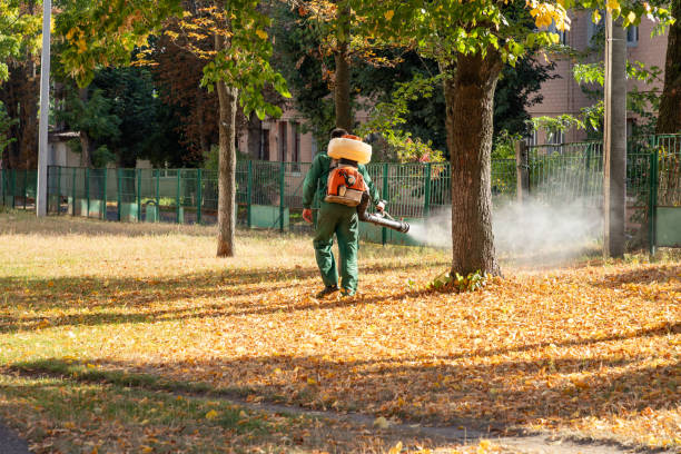 Pest Control Cost in Centennial, CO