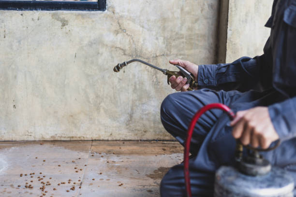 Best Pest Removal Services  in Centennial, CO